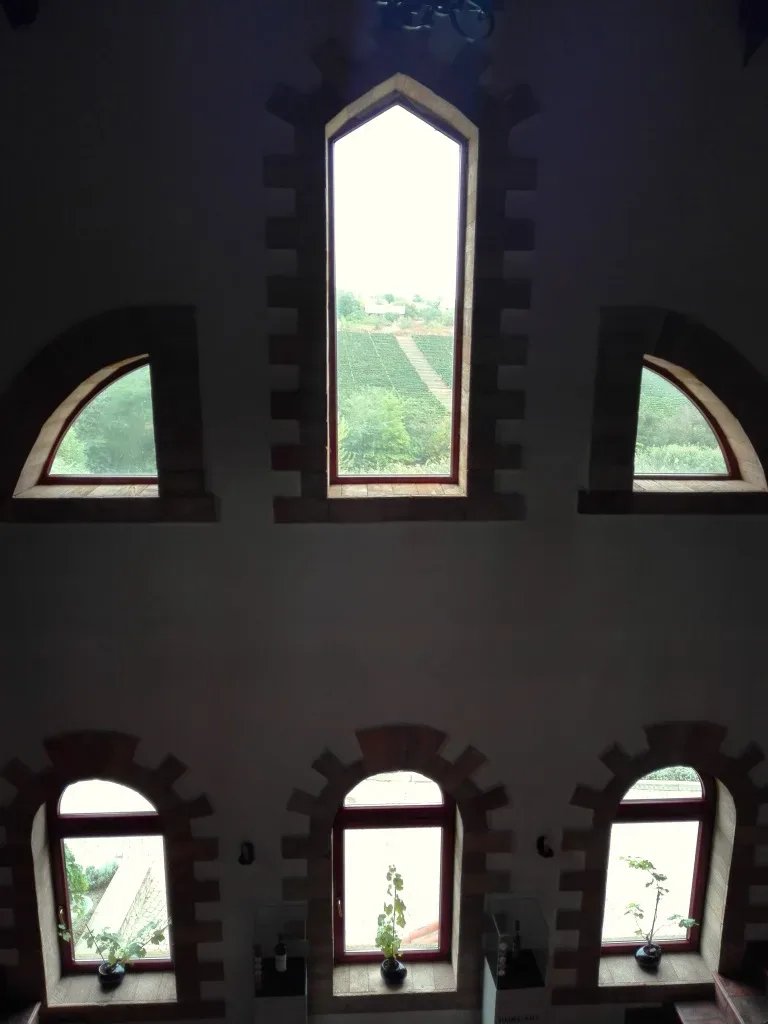 Moldova wines - Purcari vigne