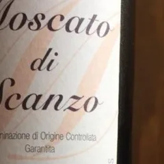Moscato di Scanzo Biava