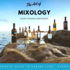 Art of Mixology
