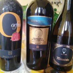 Vini di Paolo Leo vincitori a Radici del Sud 2018