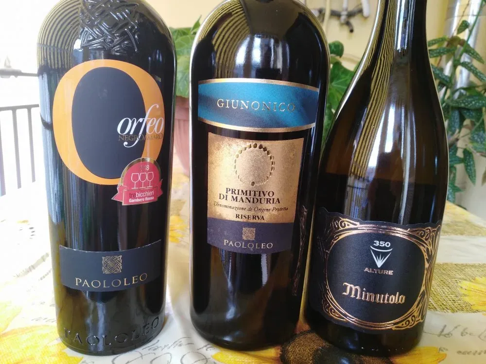 Vini di Paolo Leo vincitori a Radici del Sud 2018