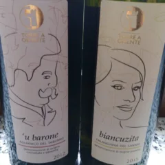 Vini di Torre a Oriente
