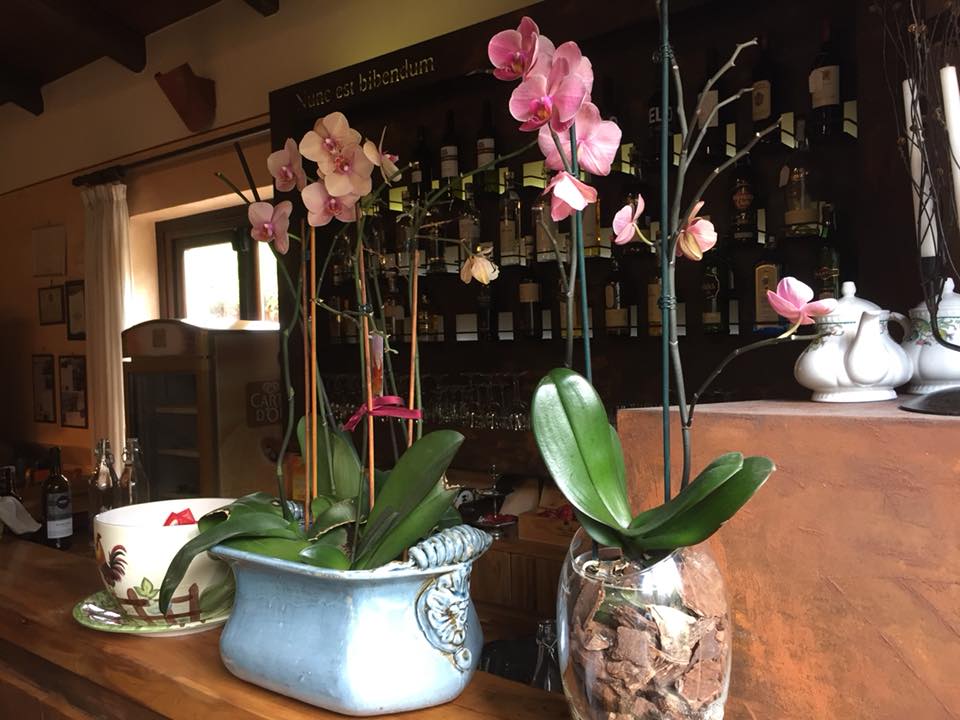 I Moresani, il banco bar