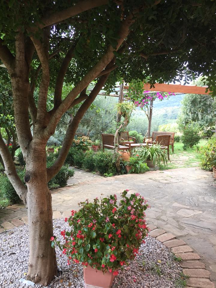 I Moresani, uno scorcio del giardino