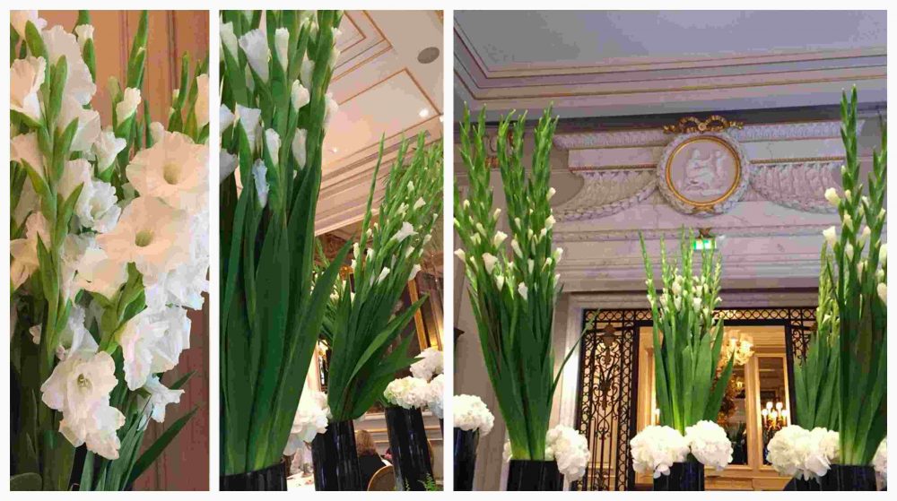 Le Cinq, gladioli e ortensie in sala