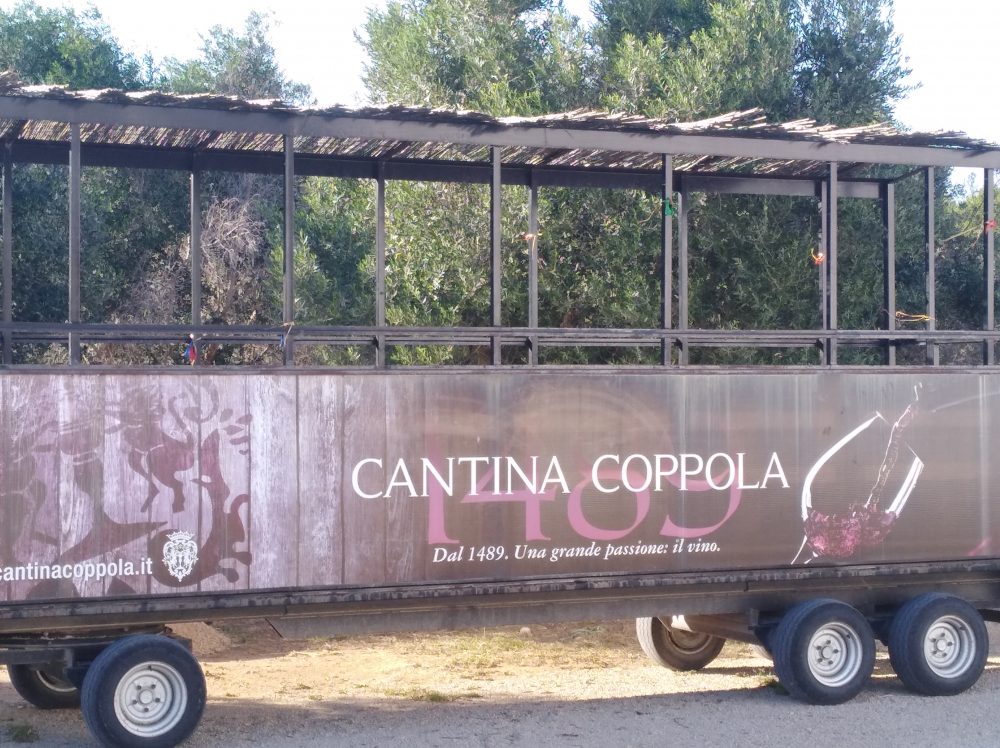 Cantina Coppola