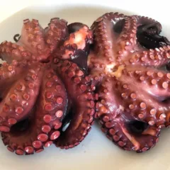 I due polpi di scoglio appena cotti