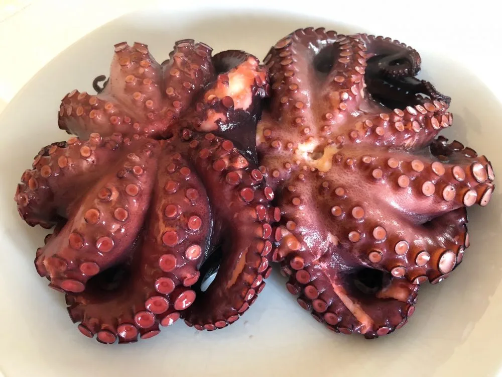 I due polpi di scoglio appena cotti