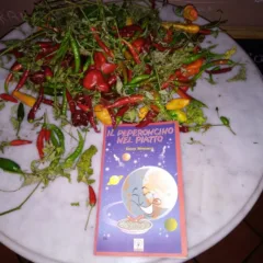 Pic Day 2018 Il Peperoncino nel piatto