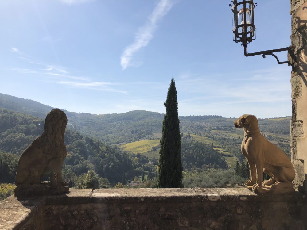 Vignamaggio -la vista dalla terrazza