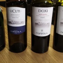 Vini Cantina Coppola Annate nuove