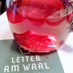 Leiter am Waal, Schiava