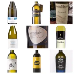 Campania, le 1000 sfumature