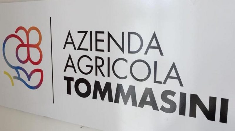 Azienda Agricola Tommasini