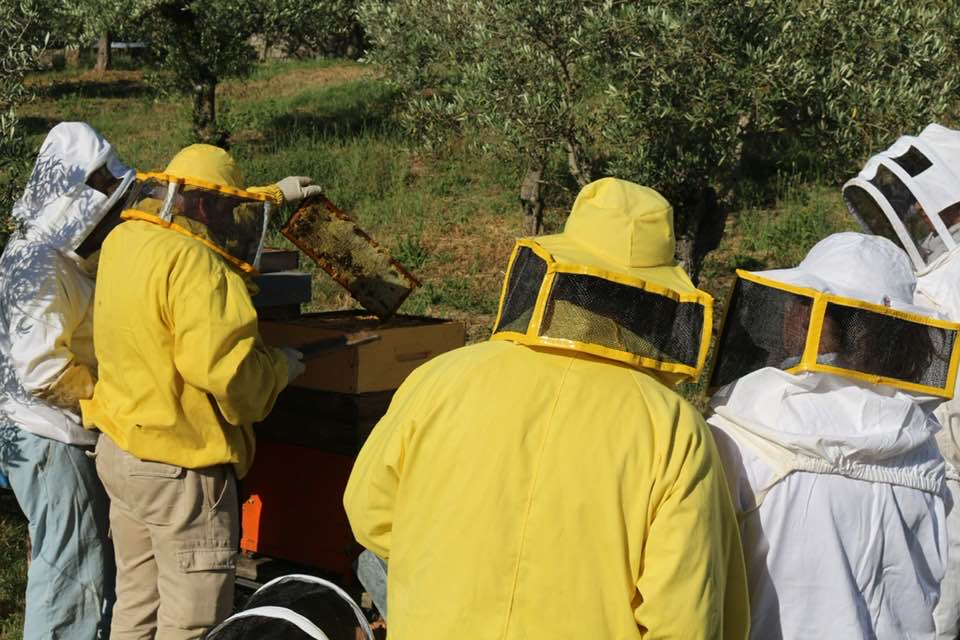 Agriturismo Regio Tratturo- si smiela
