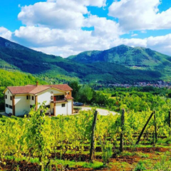 Azienda Agricola Il Verro