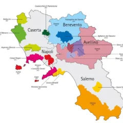 Campania Vinicola