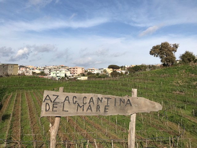 Cantine del Mare - Vigna Anfiteatro