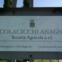 Colacicchi Anagni