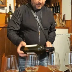 Dolfo - Marko Skocaj