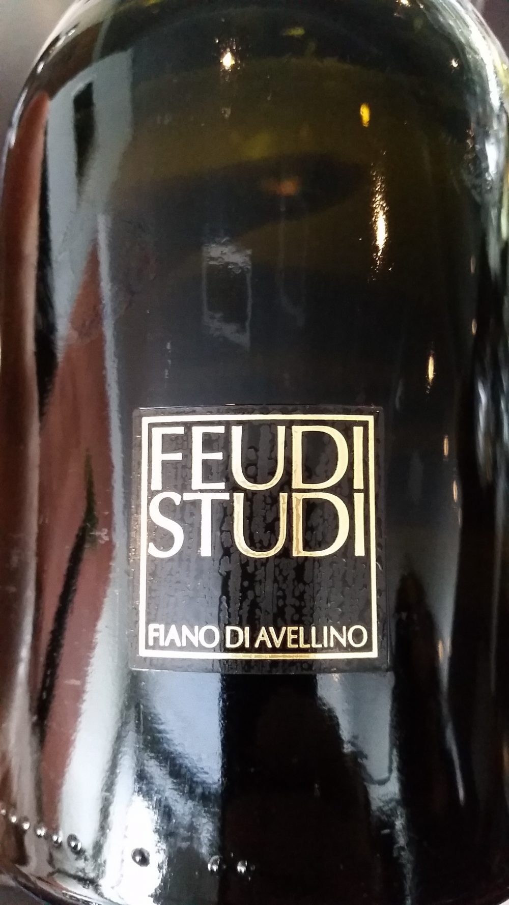 Feudi Studi