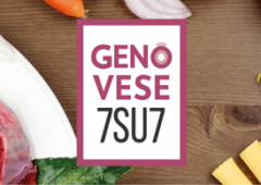 Genovese 7su7