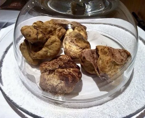 Piazza Duomo, i tartufi bianchi d’Alba