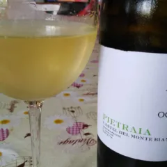 Pietraia Bianco Castel del Monte DOP 2017 Ognissole