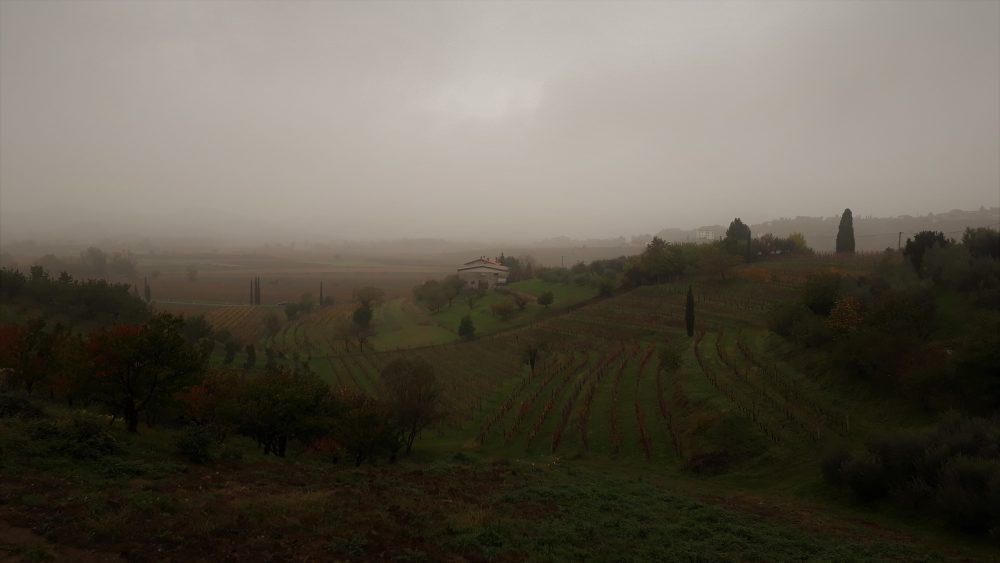 Un immagine del Collio