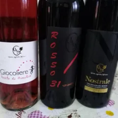 Vini Unione Agricola Melissano