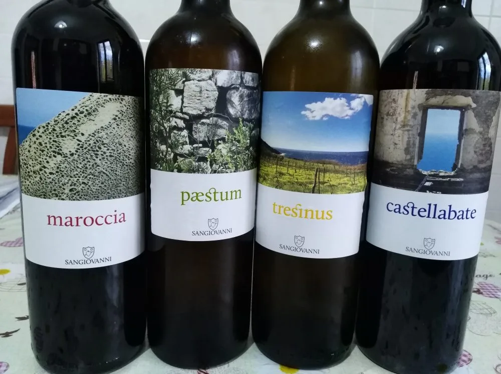 Vini azienda San Giovanni