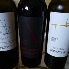 Vini di Fonzone vincitori a Radici del Sud 2018