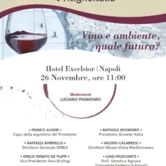 Vino e ambiente quale futuro
