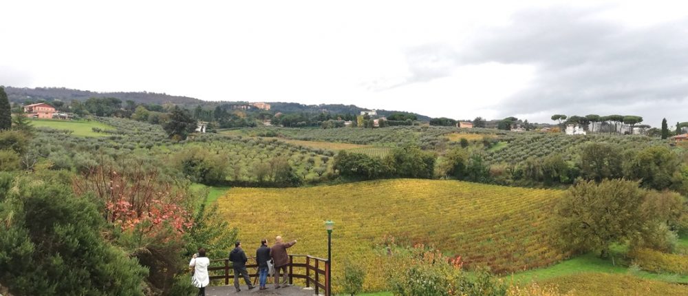 Frascati panorama