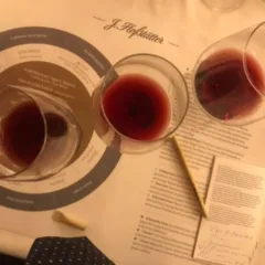 Hoffstatter Martin Foradori Pinot Nero