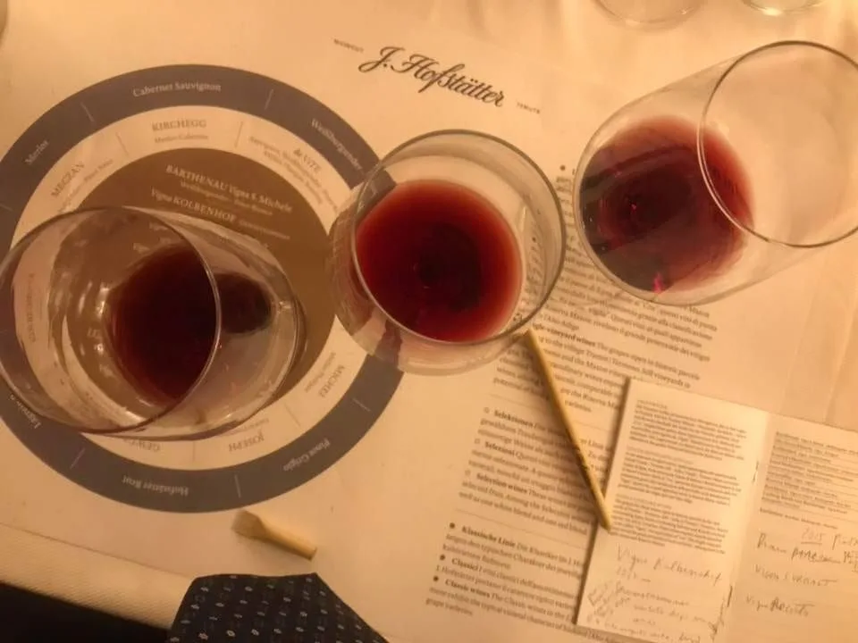Hoffstatter Martin Foradori Pinot Nero