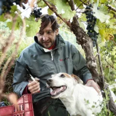 Il vignaiolo Lorenzo Svetlich