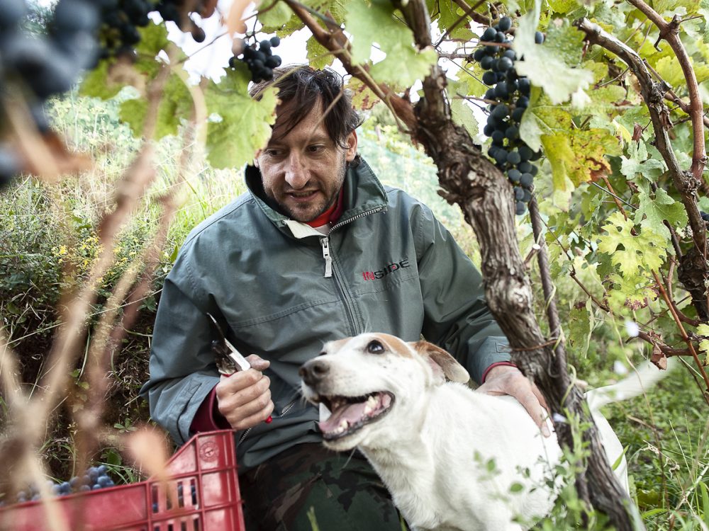 Il vignaiolo Lorenzo Svetlich