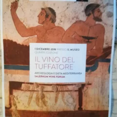 Il vino del tuffatore