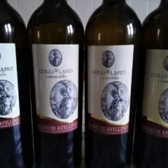 Mini verticale Fiano di Avellino Docg Clelia Romaro