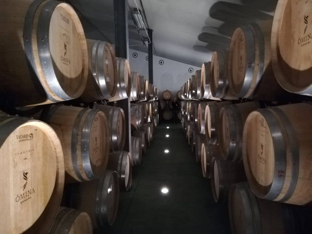 La cantina di Omina Romana