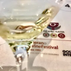 PIWI i vitigni resistenti