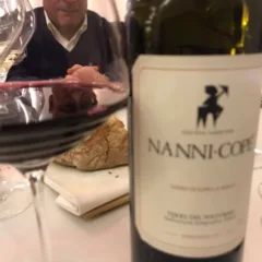 Sabbie di Sopra il Bosco 2017