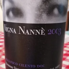 Vigna Nanne' Aglianico Cilento Doc 2003 Antonio Viticoltore 2003