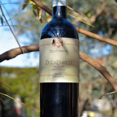 Duca Enrico 1992 – Duca di Salaparuta