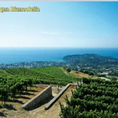 Ischia Biancolella Dop 2017 Crateca