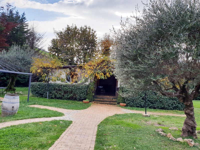 TerrAntica Braceria - giardino