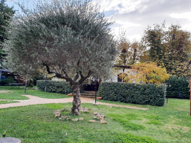 TerrAntica Braceria - giardino