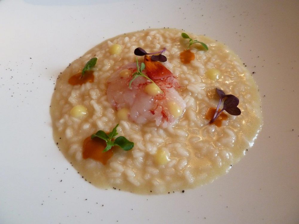 15 Rosso di Sera, Castelletto Ticino, risotto con gamberi rossi