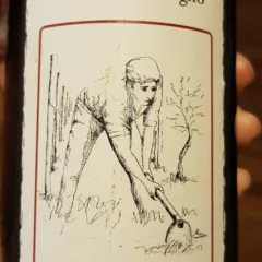 La Visciola - Cesanese del Piglio Priore Vignali 2009